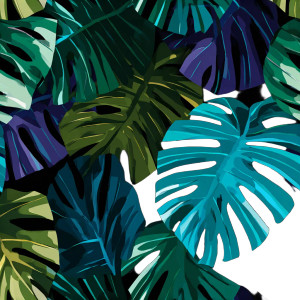 Monstera Leaf V5 Vinyl Car Decal Sticker – Waterproof & UV-Resistant 6.826666666666667"