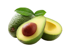 Avocado V3 Vinyl Car Decal Sticker – Waterproof & UV-Resistant 6.1866666666666665" Avocado V3 Vinyl Car Decal Sticker – Waterproof & UV-Resistant 6.1866666666666665"