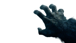 Giant Gorilla Arm Vinyl Car Decal Sticker – Waterproof & UV-Resistant 2.72"