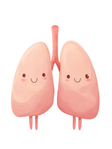 Cute Cartoon Lungs Vinyl Car Decal Sticker – Waterproof & UV-Resistant 8.213333333333333" Cute Cartoon Lungs Vinyl Car Decal Sticker – Waterproof & UV-Resistant 8.213333333333333"