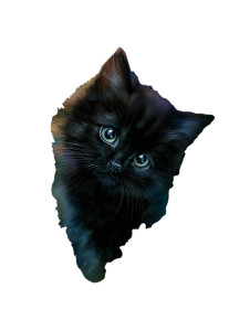 Cheerful Black Kitten Vinyl Car Decal Sticker – Waterproof & UV-Resistant 4.1066666666666665" Cheerful Black Kitten Vinyl Car Decal Sticker – Waterproof & UV-Resistant 4.1066666666666665"