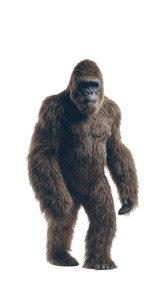 Realistic Bigfoot Portrait Vinyl Car Decal Sticker – Waterproof & UV-Resistant 9.706666666666667"