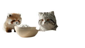 Kitchen Ingredients Scene Vinyl Car Decal Sticker – Waterproof & UV-Resistant 5.4