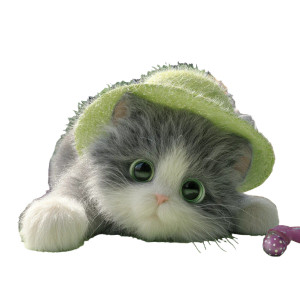 Cute Kitten In Hat Vinyl Car Decal Sticker – Waterproof & UV-Resistant 3.4133333333333336" Cute Kitten In Hat Vinyl Car Decal Sticker – Waterproof & UV-Resistant 3.4133333333333336"