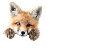 Alert Red Fox Vinyl Car Decal Sticker – Waterproof & UV-Resistant 2.72"