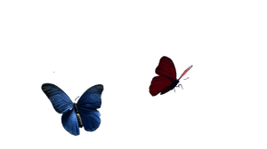 Moody Butterfly Scene Vinyl Car Decal Sticker – Waterproof & UV-Resistant 5.4