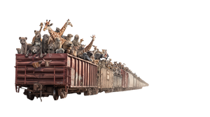 Zoo Animals On Train Vinyl Car Decal Sticker – Waterproof & UV-Resistant 2.72"