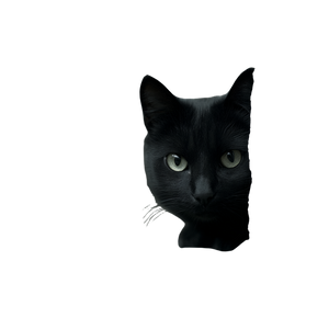 Cat V171 Vinyl Car Decal Sticker – Waterproof & UV-Resistant 3.4133333333333336"