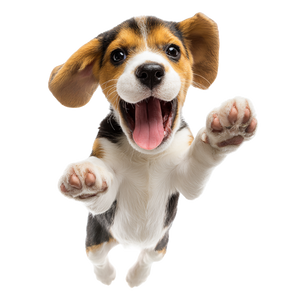 Happy Beagle Puppy V3 Vinyl Car Decal Sticker – Waterproof & UV-Resistant 6.826666666666667"