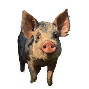 Pig V14 Vinyl Car Decal Sticker – Waterproof & UV-Resistant 3.4133333333333336" Pig V14 Vinyl Car Decal Sticker – Waterproof & UV-Resistant 3.4133333333333336"