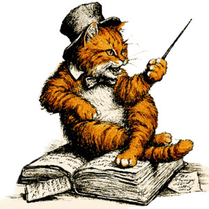 Wizard Cat V7 Vinyl Car Decal Sticker – Waterproof & UV-Resistant 6.826666666666667"