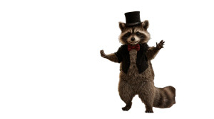 Dapper Raccoon Invites Vinyl Car Decal Sticker – Waterproof & UV-Resistant 2.72" Dapper Raccoon Invites Vinyl Car Decal Sticker – Waterproof & UV-Resistant 2.72"