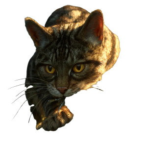 Powerful Tabby Cat Vinyl Car Decal Sticker – Waterproof & UV-Resistant 3.4133333333333336" Powerful Tabby Cat Vinyl Car Decal Sticker – Waterproof & UV-Resistant 3.4133333333333336"
