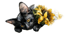 Black Cat Playing V2 Vinyl Car Decal Sticker – Waterproof & UV-Resistant 5.4 Black Cat Playing V2 Vinyl Car Decal Sticker – Waterproof & UV-Resistant 5.4