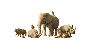 Desert Animal Gathering Vinyl Car Decal Sticker – Waterproof & UV-Resistant 2.72"