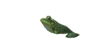 Serene Frog Wallpaper Vinyl Car Decal Sticker – Waterproof & UV-Resistant 2.72"