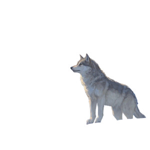 Majestic Wolf V4 Vinyl Car Decal Sticker – Waterproof & UV-Resistant 3.4133333333333336" Majestic Wolf V4 Vinyl Car Decal Sticker – Waterproof & UV-Resistant 3.4133333333333336"