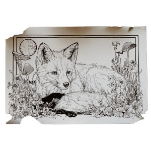 Fox Fairies Frame Vinyl Car Decal Sticker – Waterproof & UV-Resistant 3.4133333333333336" Fox Fairies Frame Vinyl Car Decal Sticker – Waterproof & UV-Resistant 3.4133333333333336"