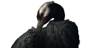 Feathered Solitude Vinyl Car Decal Sticker – Waterproof & UV-Resistant 2.72" Feathered Solitude Vinyl Car Decal Sticker – Waterproof & UV-Resistant 2.72"