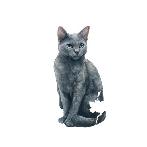 Russian Blue Kitty Vinyl Car Decal Sticker – Waterproof & UV-Resistant 6.826666666666667"