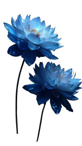 Glowing Blue Lotus V2 Vinyl Car Decal Sticker – Waterproof & UV-Resistant 4.8533333333333335" Glowing Blue Lotus V2 Vinyl Car Decal Sticker – Waterproof & UV-Resistant 4.8533333333333335"