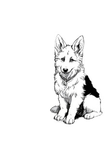 German Shepherd Portrait V6 Vinyl Car Decal Sticker – Waterproof & UV-Resistant 8.213333333333333" German Shepherd Portrait V6 Vinyl Car Decal Sticker – Waterproof & UV-Resistant 8.213333333333333"