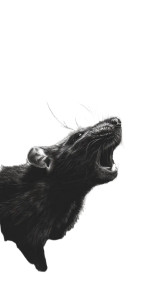 Divine Rat Vinyl Car Decal Sticker – Waterproof & UV-Resistant 4.8533333333333335"