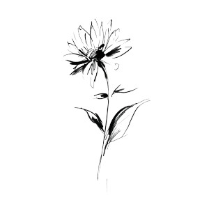 Abstract Sunflower Sketch Vinyl Car Decal Sticker – Waterproof & UV-Resistant 3.4133333333333336" Abstract Sunflower Sketch Vinyl Car Decal Sticker – Waterproof & UV-Resistant 3.4133333333333336"