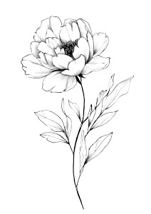 Elegant Flower Sketch V2 Vinyl Car Decal Sticker – Waterproof & UV-Resistant 4.373333333333333"