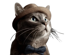 Space Cat V33 Vinyl Car Decal Sticker – Waterproof & UV-Resistant 6.1866666666666665"