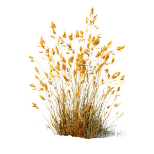 Withered Yellow Grass V2 Vinyl Car Decal Sticker – Waterproof & UV-Resistant 6.826666666666667"
