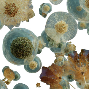 Artistic Plant Cells Vinyl Car Decal Sticker – Waterproof & UV-Resistant 6.826666666666667"