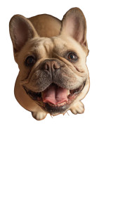 Happy Bulldog'S Meal Vinyl Car Decal Sticker – Waterproof & UV-Resistant 4.8533333333333335" Happy Bulldog'S Meal Vinyl Car Decal Sticker – Waterproof & UV-Resistant 4.8533333333333335"