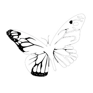Monarch Butterfly Silhouette V4 Vinyl Car Decal Sticker – Waterproof & UV-Resistant 6.826666666666667"