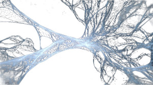 Nervs Wireframe Visualisation Vinyl Car Decal Sticker – Waterproof & UV-Resistant 5.4