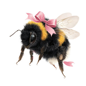 Fluffy Bumblebee V2 Vinyl Car Decal Sticker – Waterproof & UV-Resistant 3.4133333333333336" Fluffy Bumblebee V2 Vinyl Car Decal Sticker – Waterproof & UV-Resistant 3.4133333333333336"