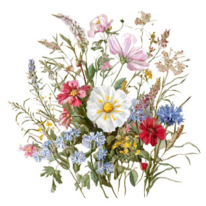 Wildflower Cluster Vinyl Car Decal Sticker – Waterproof & UV-Resistant 6.826666666666667" Wildflower Cluster Vinyl Car Decal Sticker – Waterproof & UV-Resistant 6.826666666666667"