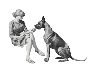 Velma And Great Dane Vinyl Car Decal Sticker – Waterproof & UV-Resistant 6.1866666666666665"