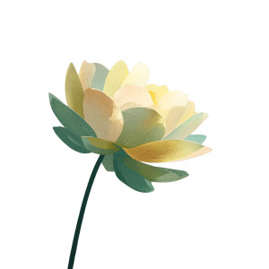 Vintage Lotus Illustration Vinyl Car Decal Sticker – Waterproof & UV-Resistant 3.4133333333333336"