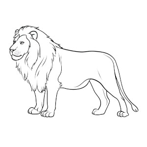 Lion Coloring Page V2 Vinyl Car Decal Sticker – Waterproof & UV-Resistant 3.4133333333333336"