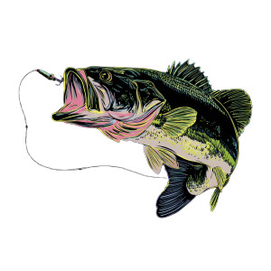 Largemouth Bass Illustration V2 Vinyl Car Decal Sticker – Waterproof & UV-Resistant 6.826666666666667"