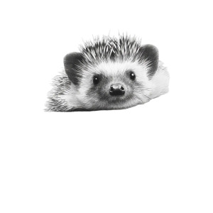 Hedgehog In Pocket Vinyl Car Decal Sticker – Waterproof & UV-Resistant 3.4133333333333336" Hedgehog In Pocket Vinyl Car Decal Sticker – Waterproof & UV-Resistant 3.4133333333333336"
