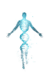 Futuristic Dna Silhouette Vinyl Car Decal Sticker – Waterproof & UV-Resistant 8.96"