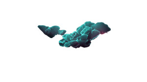 Coral Reef Vinyl Car Decal Sticker – Waterproof & UV-Resistant 2.72"