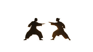 Kung Fu Duel Vinyl Car Decal Sticker – Waterproof & UV-Resistant 5.4