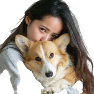 Woman With Corgi V2 Vinyl Car Decal Sticker – Waterproof & UV-Resistant 3.4133333333333336"