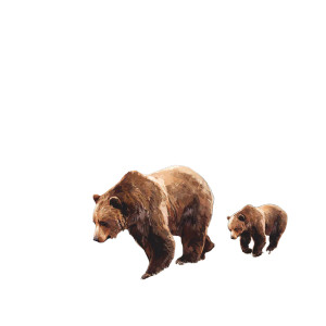 Vintage Grizzly Bear V3 Vinyl Car Decal Sticker – Waterproof & UV-Resistant 3.4133333333333336"