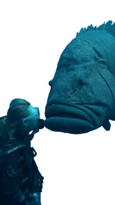 Underwater Encounter V4 Vinyl Car Decal Sticker – Waterproof & UV-Resistant 9.706666666666667" Underwater Encounter V4 Vinyl Car Decal Sticker – Waterproof & UV-Resistant 9.706666666666667"