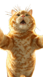 Chubby Cat Selfie Vinyl Car Decal Sticker – Waterproof & UV-Resistant 9.706666666666667"