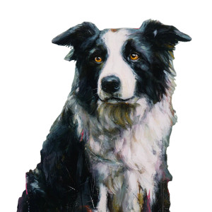 Border Collie Portrait V3 Vinyl Car Decal Sticker – Waterproof & UV-Resistant 3.4133333333333336" Border Collie Portrait V3 Vinyl Car Decal Sticker – Waterproof & UV-Resistant 3.4133333333333336"